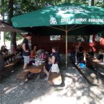 phoca_thumb_m_pohdkov les 231 Fotogalerie